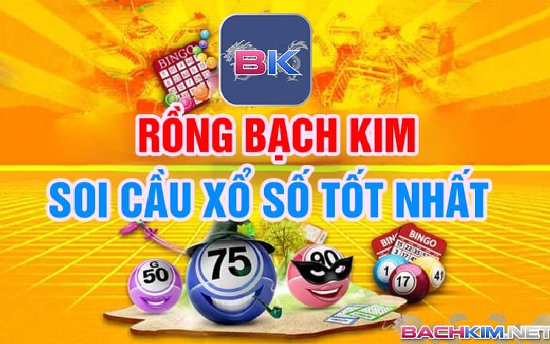 Kinh nghiệm soi cầu rồng dễ áp dụng và đạt hiệu quả cao 