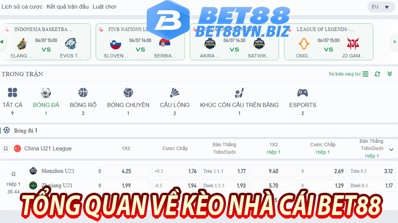 Tổng quan về kèo nhà cái bet88