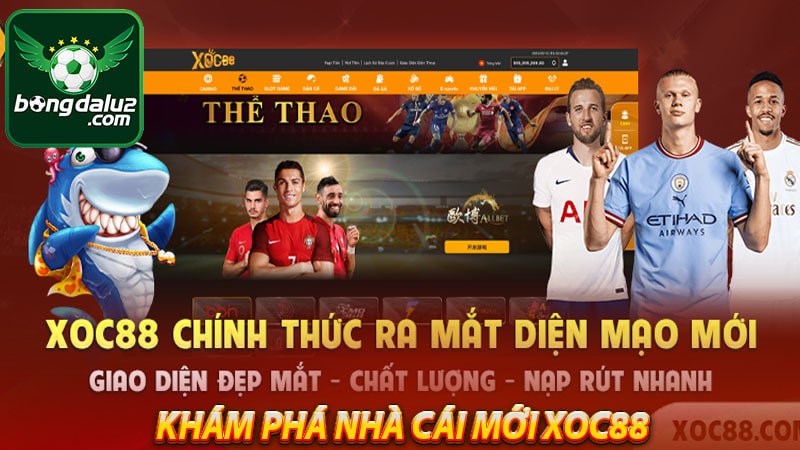 Khám phá nhà cái mới xoc88