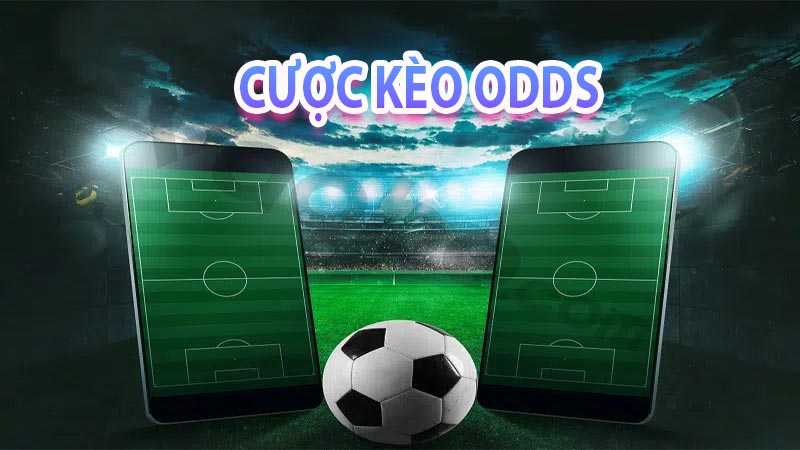 Cách xem và kinh nghiệm cược với kèo odds