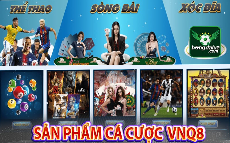 Những sản phẩm cá cược hấp dẫn nhất vnq8 cung cấp