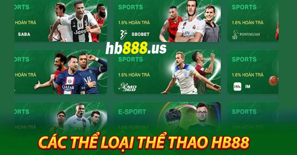 Các thể loại thể thao Hb88